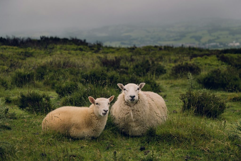 Moel Famau, Mold, United Kingdom, photo par Ambitious Studio* | Rick Barrett / unsplash