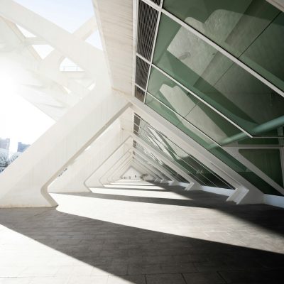 Cité des Arts et des Sciences (valence)
