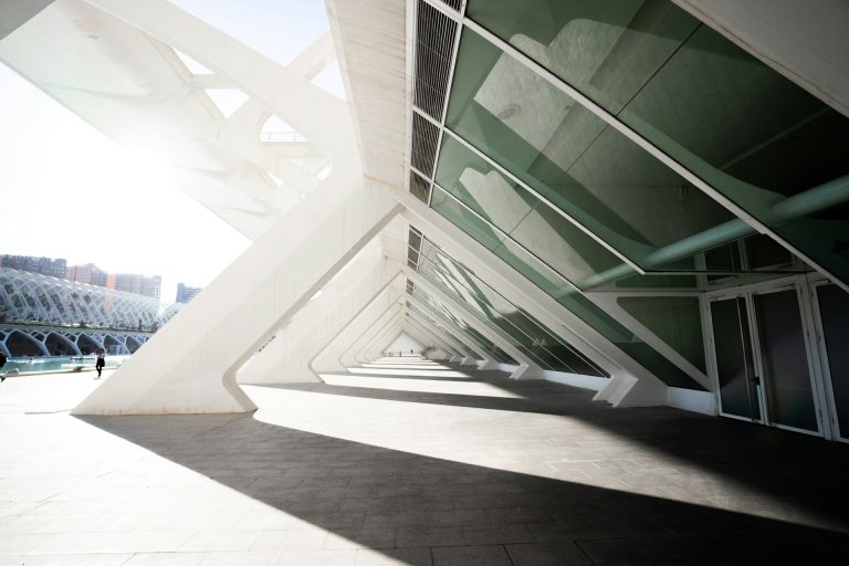 Cité des Arts et des Sciences (valence)